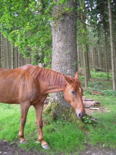 Kopie von Bild 476.jpg