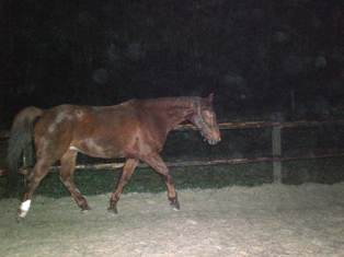 Kopie von Bild 208.jpg