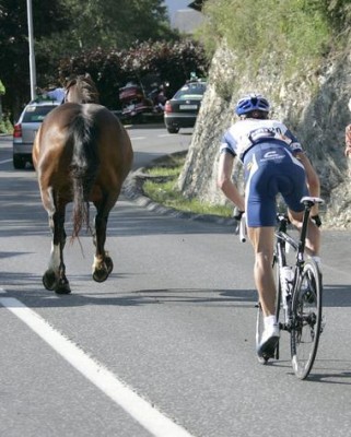 HB1J5exg_Pxgen_r_380xA.jpg (38.98 KiB) 12178-mal betrachtet HB1J5exg_Pxgen_r_380xA.jpg