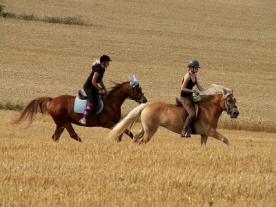 PICT0009.jpg
