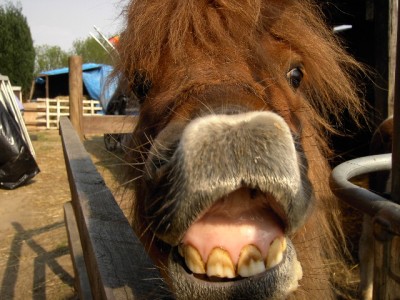 pict0963.jpg (133.41 KiB) 11882-mal betrachtet pict0963.jpg