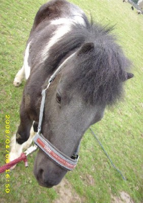 ewszr7t.JPG (80.17 KiB) 8134-mal betrachtet ewszr7t.JPG