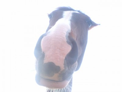 0719210328.JPG (50.34 KiB) 11873-mal betrachtet 0719210328.JPG