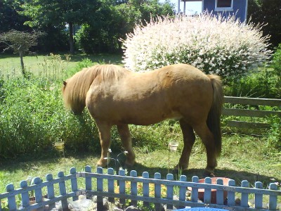 DSC01145.JPG (483.22 KiB) 16139-mal betrachtet DSC01145.JPG