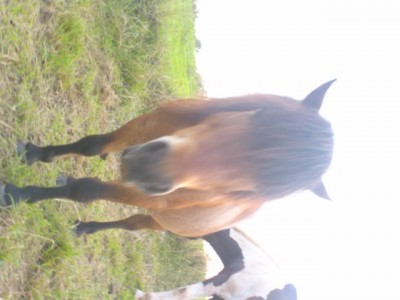 0719210823.JPG (76.46 KiB) 11868-mal betrachtet 0719210823.JPG