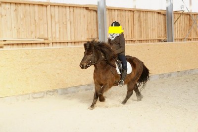 20110130_135_Winterturnier.jpg (45.05 KiB) 16823-mal betrachtet 20110130_135_Winterturnier.jpg