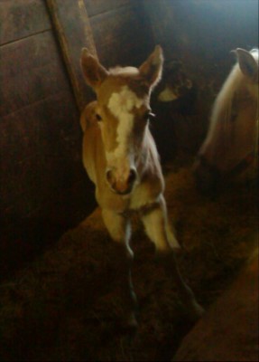 DSC00262.JPG (85.57 KiB) 14329-mal betrachtet DSC00262.JPG