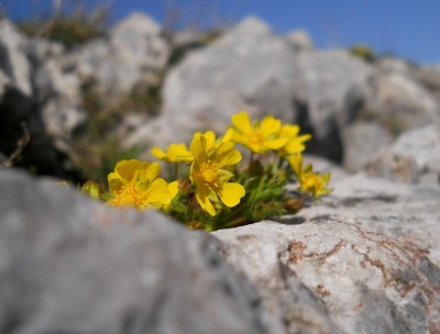 DSCN1975.JPG