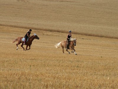 PICT0008.jpg