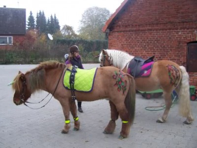 Funi glitzert.jpg (39.79 KiB) 20133-mal betrachtet Funi glitzert.jpg