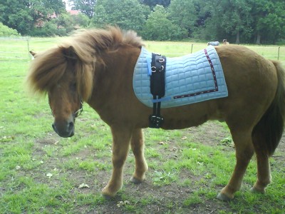 DSC01110.JPG (327.28 KiB) 20130-mal betrachtet DSC01110.JPG