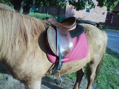 DSC01131.JPG (389.79 KiB) 20132-mal betrachtet DSC01131.JPG