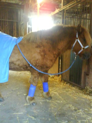 DSC01285.JPG (193.34 KiB) 20145-mal betrachtet DSC01285.JPG