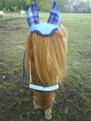 DSC00992.JPG (440.18 KiB) 20133-mal betrachtet DSC00992.JPG