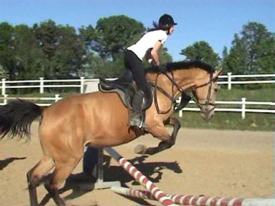 Amica und ich.jpg (52.28 KiB) 9228-mal betrachtet Amica und ich.jpg