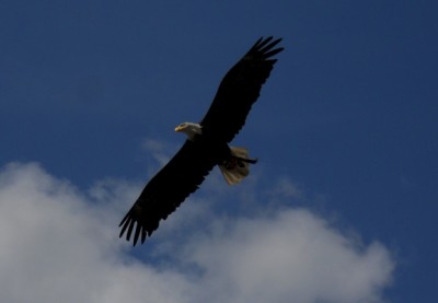 DSCN4797.jpg