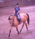 Amica und ich beim Dressurreiten