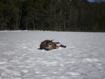 P2040224.jpg (74.11 KiB) 21778-mal betrachtet P2040224.jpg