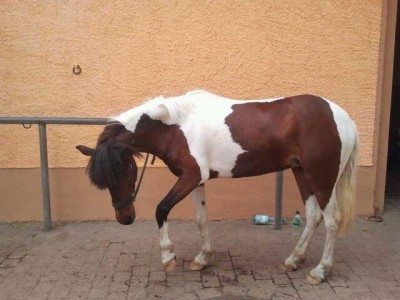 image.jpg (90.75 KiB) 21752-mal betrachtet image.jpg