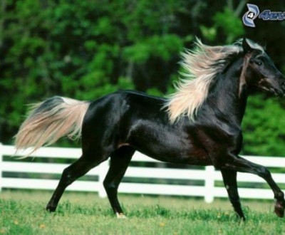 $(KGrHqYOKpUE7HB1+vN6BSZZyYYzjw~~48_72.jpg