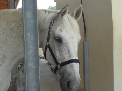 DSC00113_kleiner.jpg