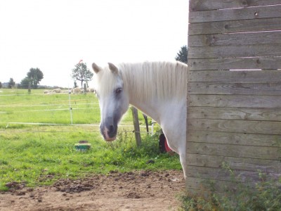 100_0619.jpg (210.86 KiB) 10402-mal betrachtet 100_0619.jpg