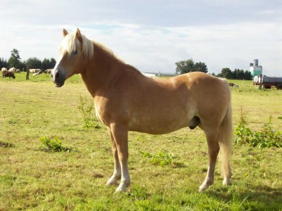 100_0660.jpg (174.99 KiB) 10402-mal betrachtet 100_0660.jpg