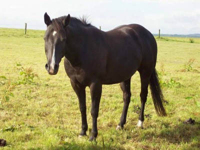 100_0652.jpg (173.86 KiB) 10414-mal betrachtet 100_0652.jpg