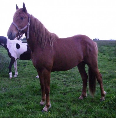 max65.JPG (55.58 KiB) 10402-mal betrachtet max65.JPG