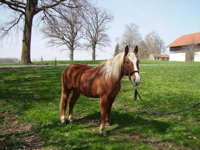 IMGP02501.JPG (140.64 KiB) 10401-mal betrachtet IMGP02501.JPG