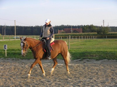 P92050341.JPG (189.78 KiB) 9700-mal betrachtet P92050341.JPG