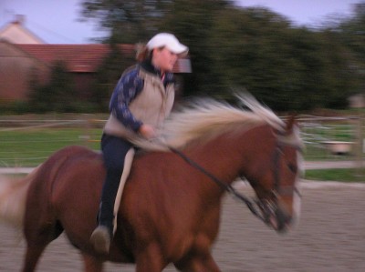 P92051271.JPG (135.11 KiB) 9708-mal betrachtet P92051271.JPG