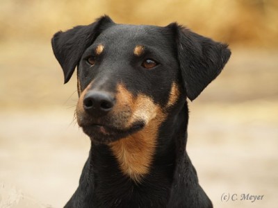 Max070407.jpg (30.88 KiB) 10358-mal betrachtet Max070407.jpg