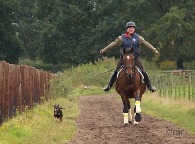 Galoppbahn8.jpg (57.67 KiB) 10359-mal betrachtet Galoppbahn8.jpg