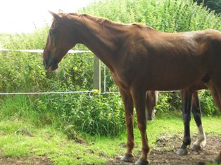 SANY0032.JPG