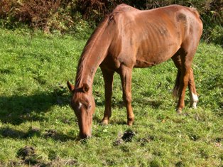 Kopie von Bild 1252.jpg