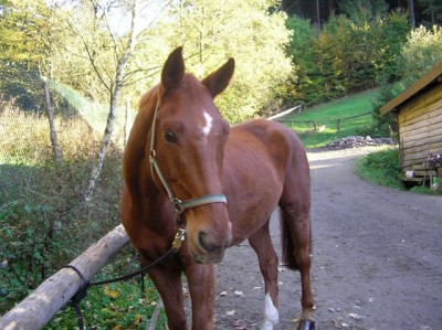 Bild 137.jpg