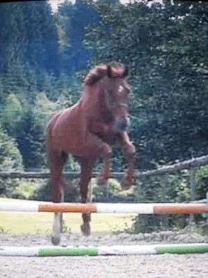 Bild 204.jpg