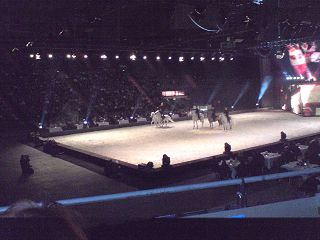 k-DSC04832.JPG