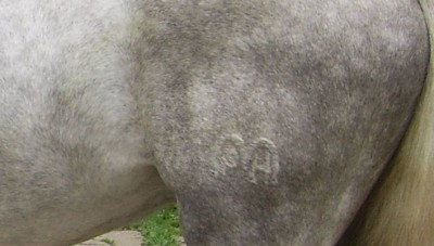 Bild 160.2.jpg