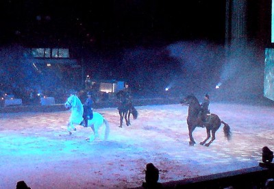 DSC04946-1.JPG