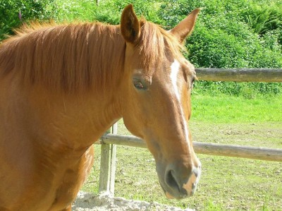 Bild 489.jpg