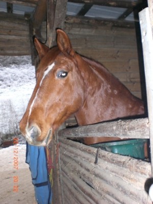 Bild 1421.jpg
