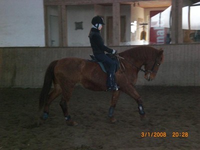 Bild 1459.jpg