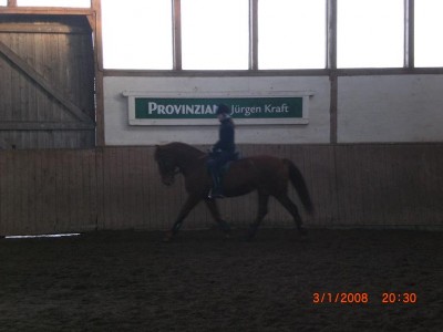 Bild 1463.jpg
