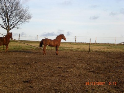 Bild 1573.jpg