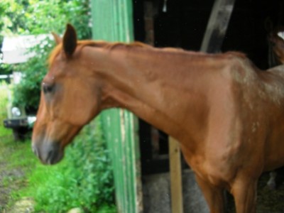 Kopie von SANY0009.JPG