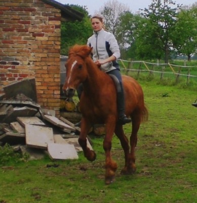 Kopie von Kopie von Bild 100.jpg (221.47 KiB) 12339-mal betrachtet Kopie von Kopie von Bild 100.jpg