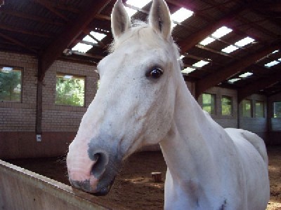 Sam2.jpeg (47.94 KiB) 9650-mal betrachtet Sam2.jpeg