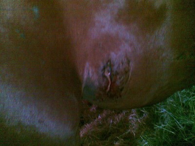 03062009(003).jpg (242.2 KiB) 17198-mal betrachtet 03062009(003).jpg